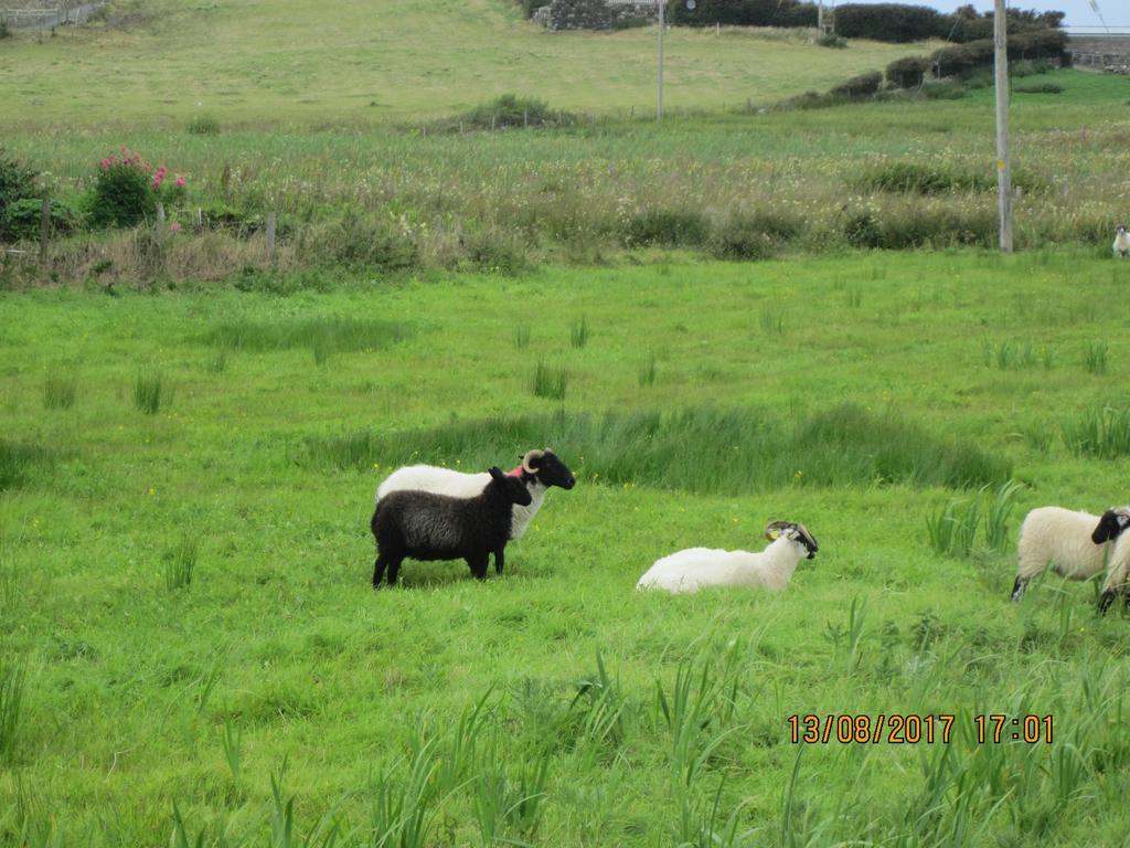Cois Na Mara B&B Cleggan Esterno foto